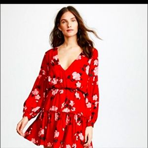 Valencia and Vine NWT Floral Dress